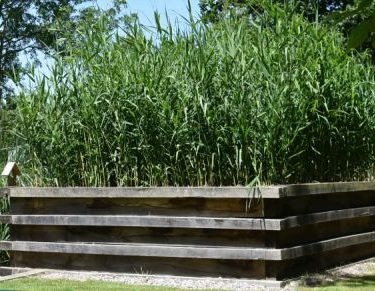 Assainissement écologique : une solution durable pour le traitement des eaux usées