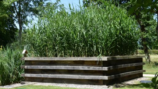 Assainissement écologique : une solution durable pour le traitement des eaux usées